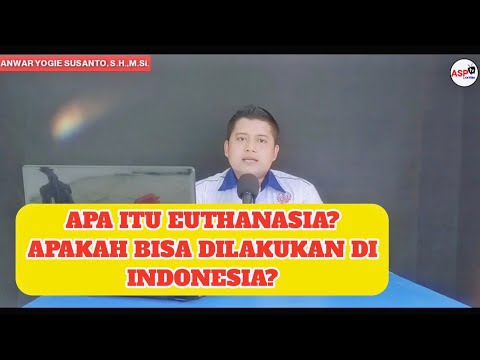 Video: Undang-undang Baru Berarti Meksiko Akan Menghentikan Euthanisasi Anjing Polisi Pensiunan