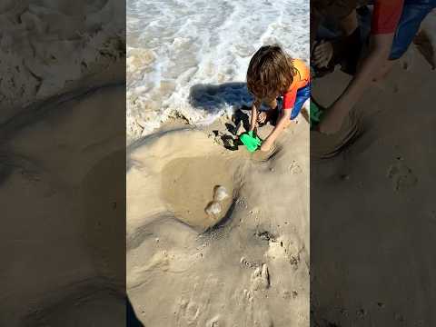 A PISCININHA DE รGUA VIVA DESMANCHOU ๐ฉ๐ฆ #tiarutedavi