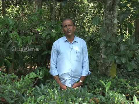 pon-vilaiyum-bhoomi-(10/07/2019)மாத்தியோசிச்சேங்க-(integrated-farming-in-organic-method)