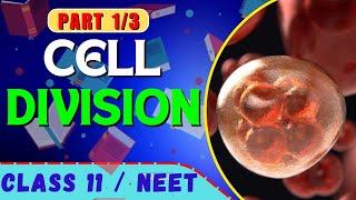 Cell division | part 1/3 | class 11 and NEET biology