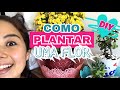 DIY: como plantar uma flor