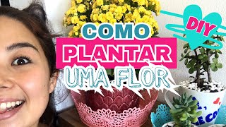 DIY: como plantar uma flor