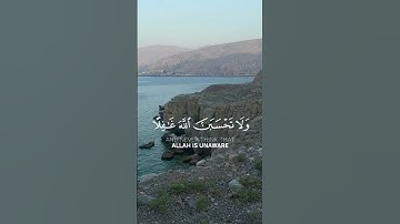 سورة ابراهيم الاية 42 القارئ ياسر الدوسري