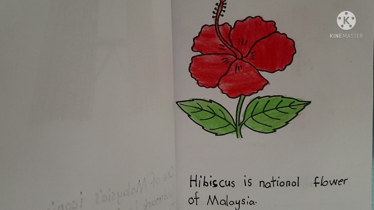 MINI BOOK-64th INDEPENDENCE DAY - YouTube