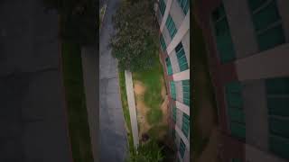 Insane Dive Fpv Flow