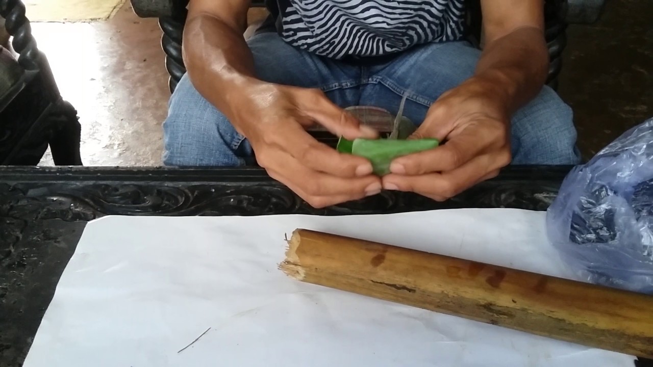 CARA MEMBUAT UMPAN IKAN PREDATOR(teknik rendam)