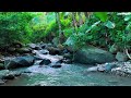 🌊 Soft Flowing Water Sounds for Relaxation, Sleep and Calm Peaceful Mind 💤