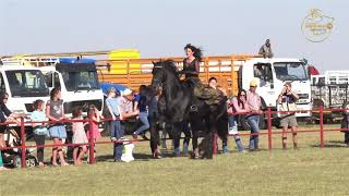 NAMPO 2019 Highlights  Promo Video