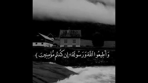 ارح سمعك    مقاطع دينيه قصيرة    قرآن كريم    فارس عباد 480P