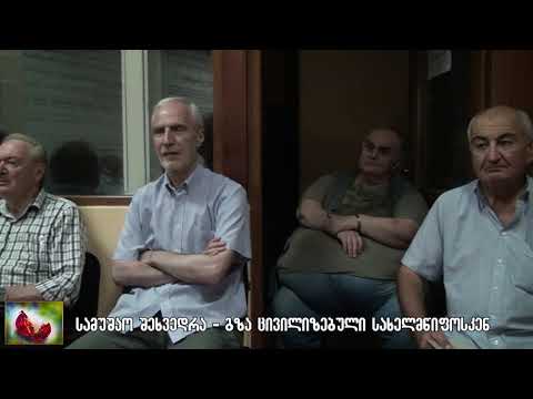 სამუშაო შეხვედრა მეცნიერებთან -  პირველი ნაწილი