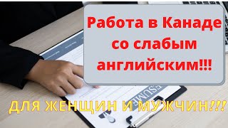 Работа в Канаде с минимальным английским! Сколько можно зарабатывать со слабым английским?