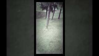 Ben Arkadaşı Parkta Yürüyoruz. Eski Zamanlara Hatırlama Yapıyoruz.