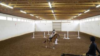 Daniel Stewart Clinic EnKara Farm -Sydney