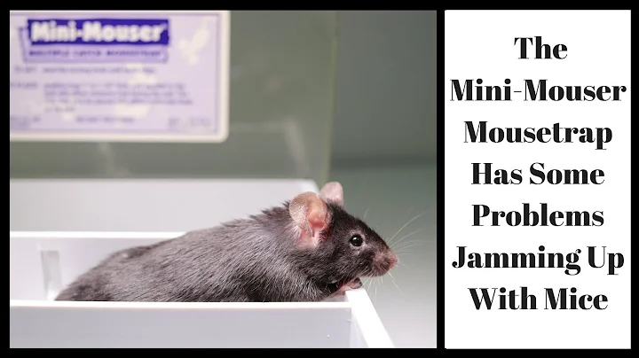 The Mini-Mouser Mousetrap Has Some Problems Jammin...