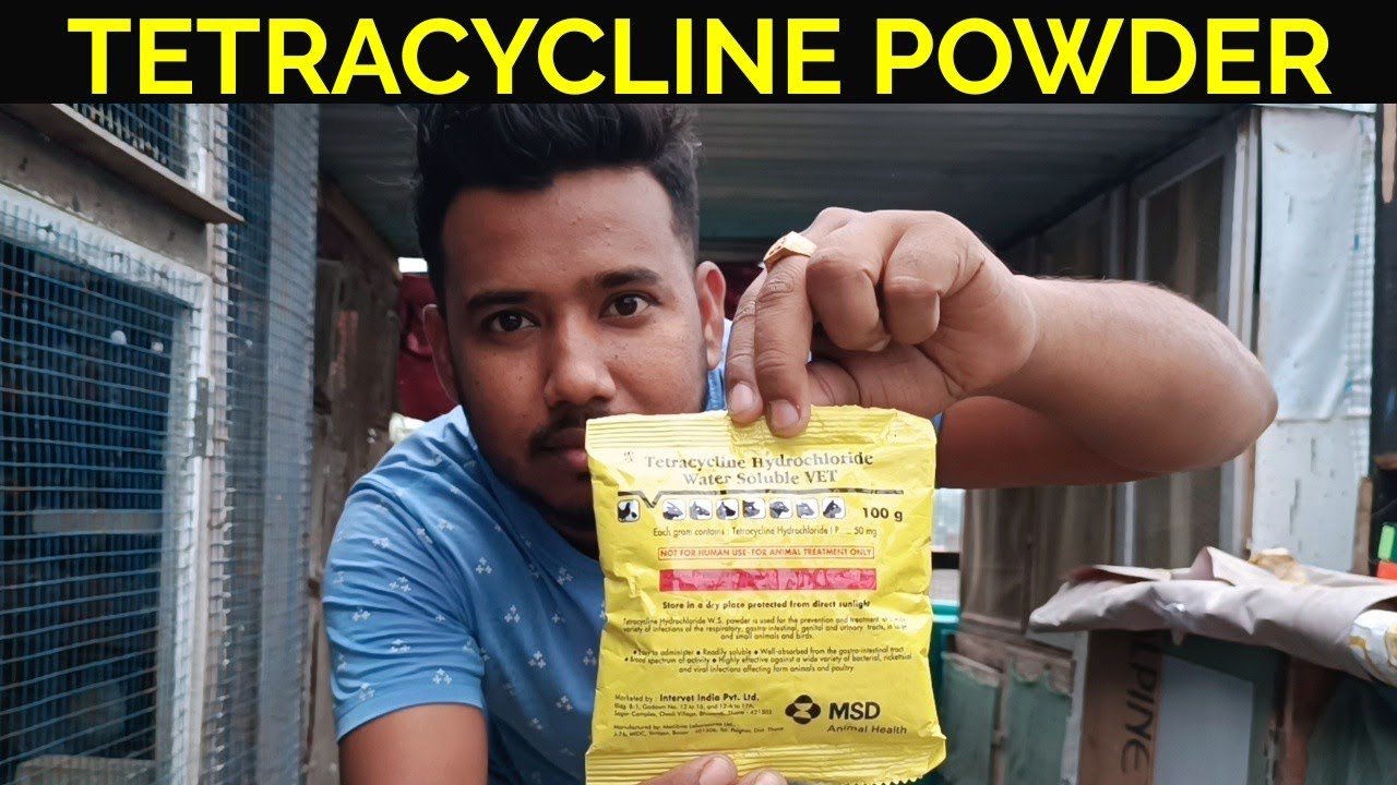 TETRACYCLINE POWDER USE FOR PIGEON