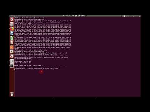 Application of MPI Algorithm on Linux (findPrime, bubbleSort, MPIGraph)