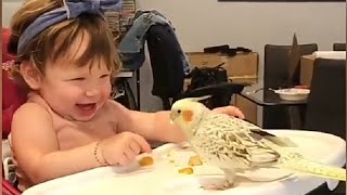Baby and Parrot Funny Videos New Tiktok Video