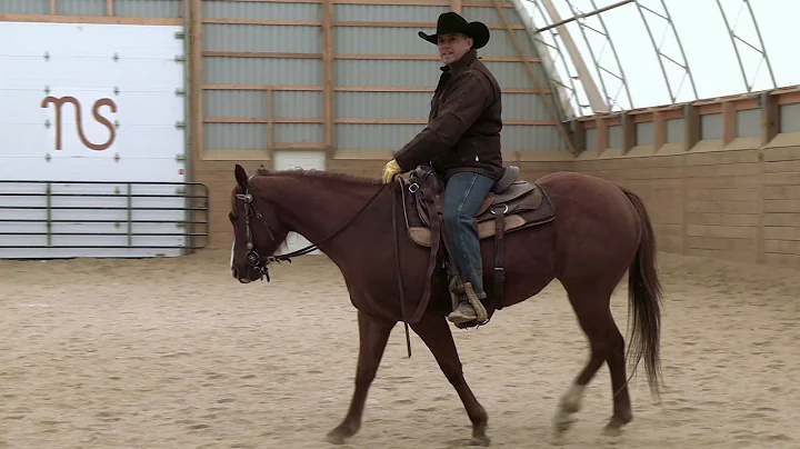 Jason Irwin Foundation Horsemanship Training Session