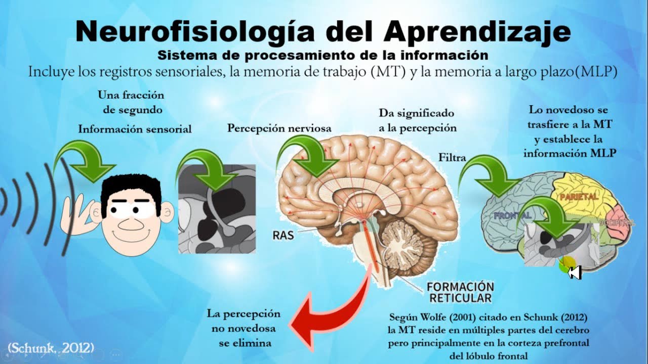 Clase Completa Con Qu Aprendemos Aprendizaje Y Cerebro By Robert Herrera Youtube