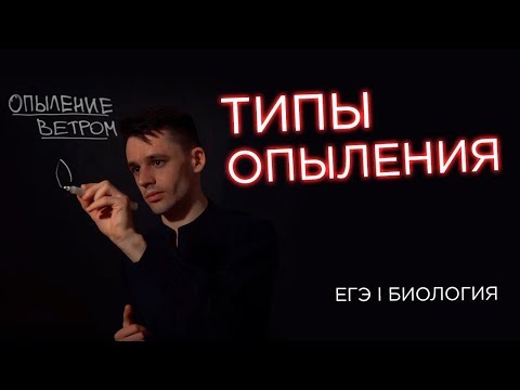 Типы опыления | ЕГЭ Биология | Даниил Дарвин