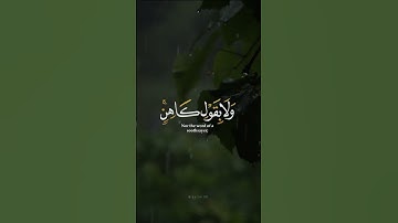 اكتب شي تؤجر عليه ♡✨️ | القارئ شريف مصطفى | قرآن كريم