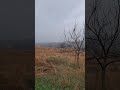 Кубанские просторы, март 2025