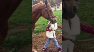 Angies First Horse Ride