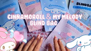 Cinnamoroll 💙 My Melody 💜 Blind Bag | Cute Unboxing ASMR | #blindbag #craft #diy #asmr #papersquishy