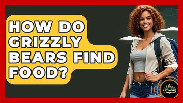 How Do Grizzly Bears Find Food? - Exploring Campgrounds