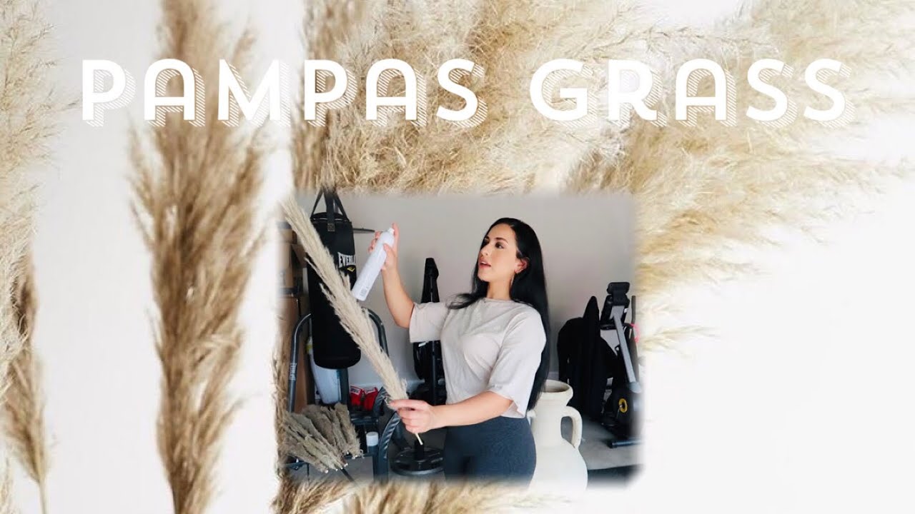 How To Keep Dried Pampas Grass From Shedding