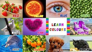 We Love All the Colors | Learn Colors in English | Red Red Strawberries Song| Red Blue Yellow Green