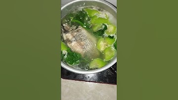 Hết Nồi Cơm Cá Rô phi Nấu Canh Mướp