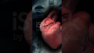 “Mana heart gurinchi ee fact telusa? ❤️ #neet #biology #facts #telugu”