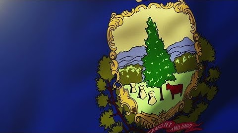 4K vermont flag waving in the wind. Looping sun rises style. Animation loop Stock video