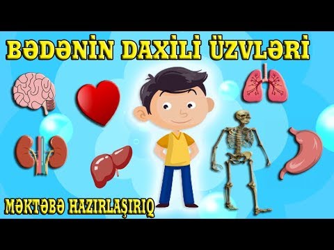 Video: Hamiləliyə Hazırlaşırıq