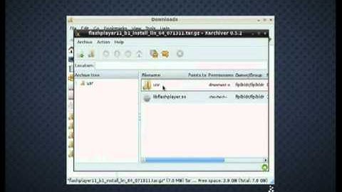 64-bit flash-plugin (Flash Player) for linux installation.