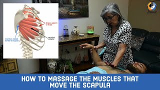 How To Massage The Muscles That Move The Scapula Part 1