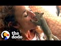 Squirrel Visits His Rescuer Every Day For Years The Dodo 