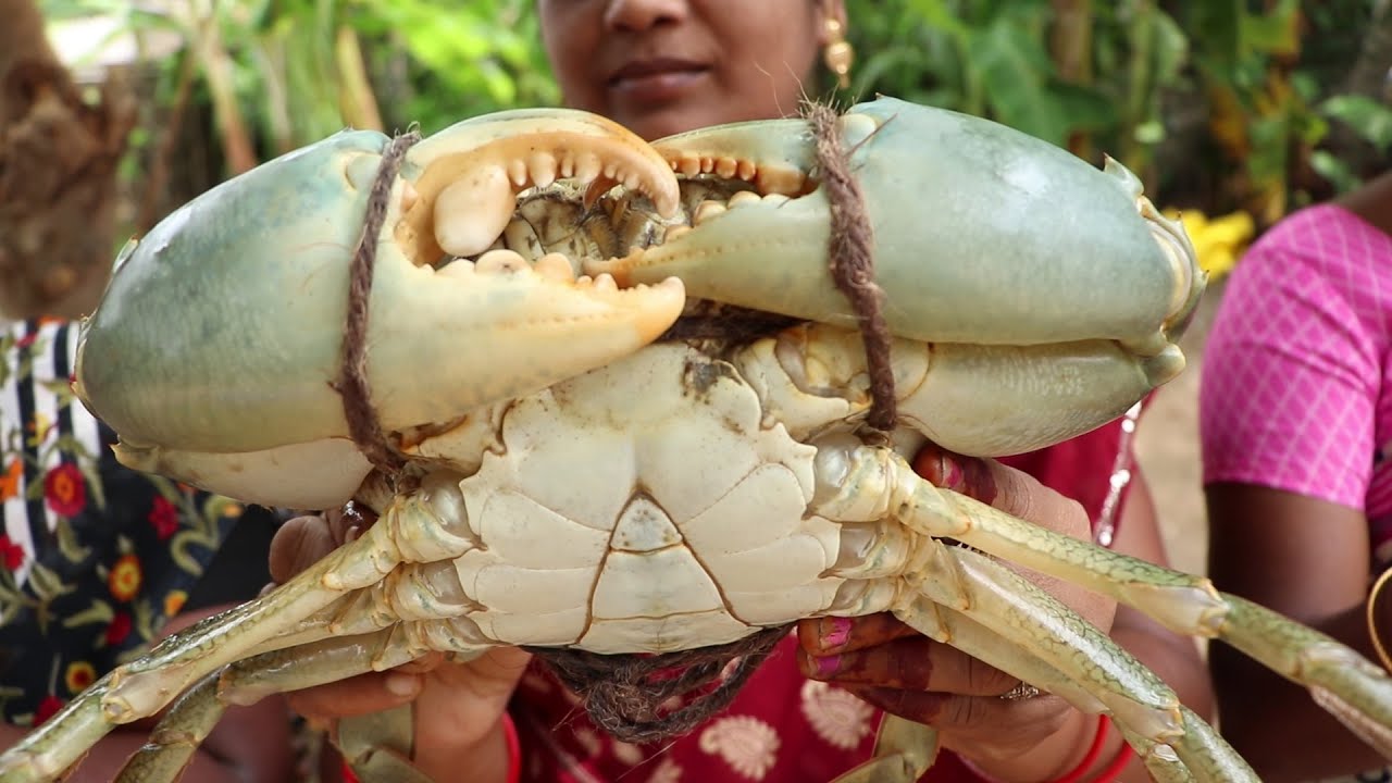 ராட்சத சம்பா  நண்டு குழம்பு குடும்பத்தோடு சமைத்தோம்/ SAMBA CRAB CURRY