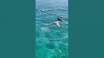 Egypt. Hilton Sharks bay. Red Sea. Sharm el Sheikh. Египет. Шарм эль Шейх.Красное море