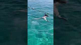 Egypt. Hilton Sharks bay. Red Sea. Sharm el Sheikh. Египет. Шарм эль Шейх.Красное море