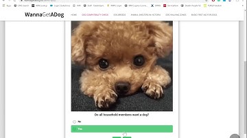 WannaGetADog Iteration 2 Usability Test