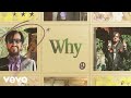 Ringo Starr - Why (Visualizer)