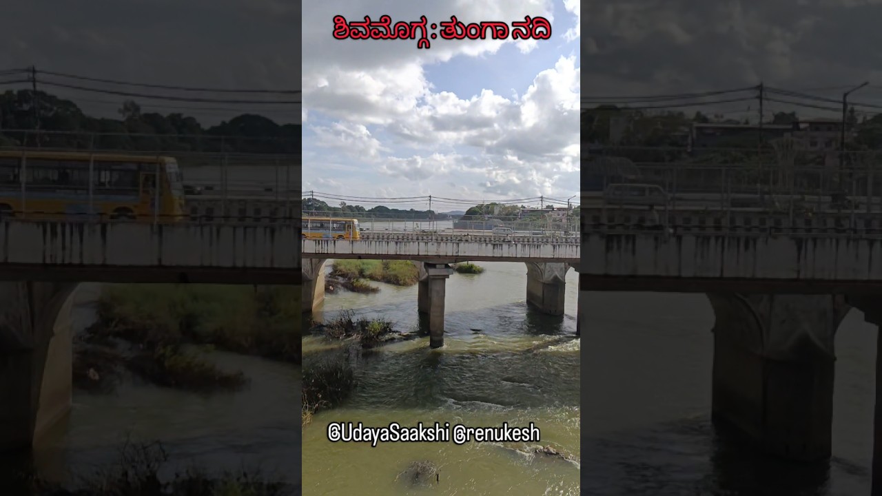 ಶಿವಮೊಗ್ಗ : ಚಲಿಸುವ ರೈಲಿನ ಮೂಲಕ ತುಂಗಾ ನದಿಯ ನೋಟ. #shimoga #shivamogga #shorts #tungariver #viral #reels
