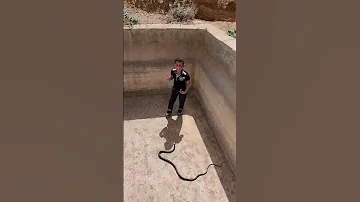 ماشاء الله رائعة ترند المدرب حسن منصور 
