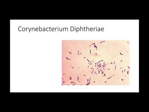 Video: Difterite: Cause, Sintomi, Metodi Di Trattamento, Prevenzione
