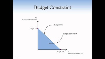 Consumer theory 1. Budget Constraint