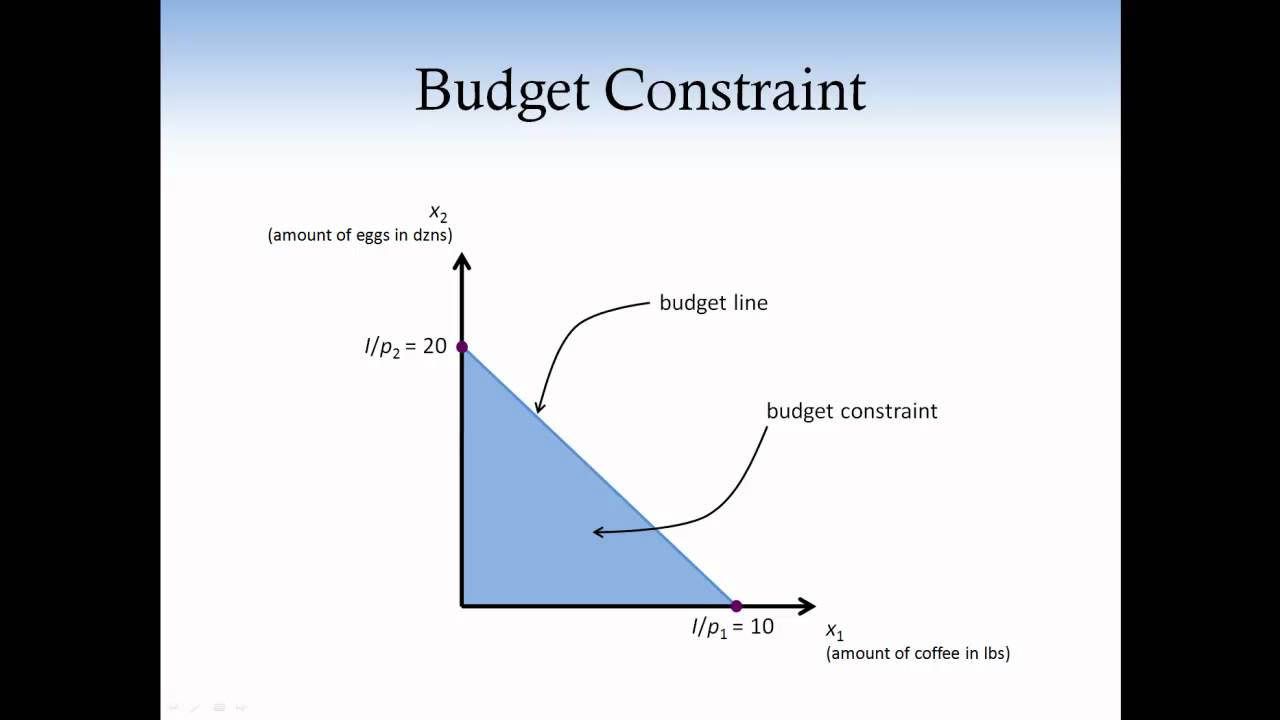 consumer theory microeconomics