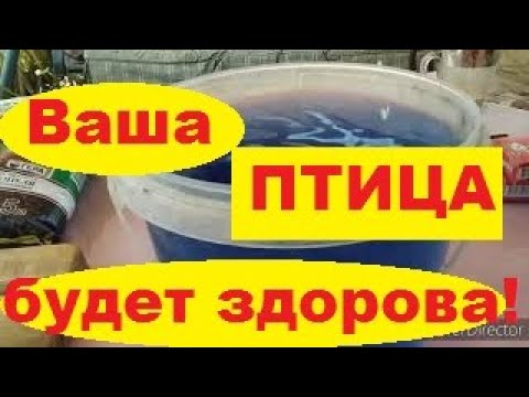 ✔Йодинол для Кур Несушек//Волшебное Средство для Здоровья Вашей Птицы/Профилактика Болезней Кур.