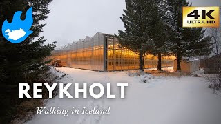 Iceland Walking Tour - Reykholt [4K]